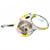 Фото на поводке (собачки)